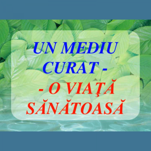 Procesul de organizare și desfășurare a acțiunilor de salubrizare în CCT ”Floarea soarelui” sectorul Centru