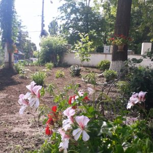 Imaginea instituției este mereu asociată cu responsabilitatea și sârguința colectivului acesteia