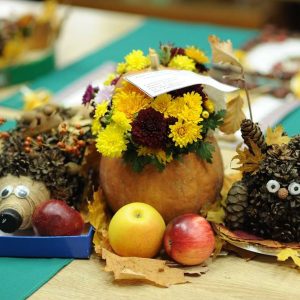 Organizarea și desfășurarea concursului de sector cu genericul „Hora vitaminelor”, 04.11.2021, CCC „Floarea Soarelui”