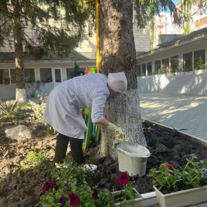 Activități de salubrizare a teritoriilor instituțiilor educaționale, din 12 aprilie